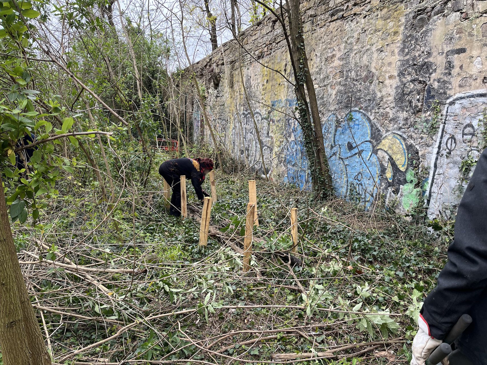 Chantier haies sèches - mars 2026